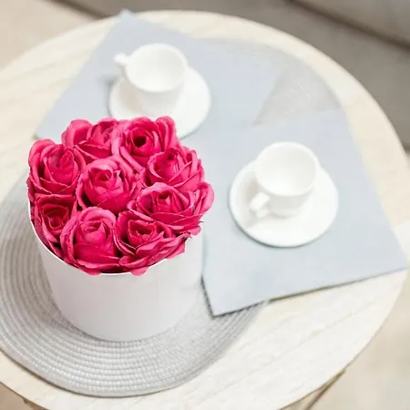 Appartement Danijela